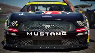 Nascar 25! The new one.