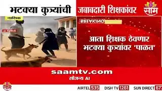 भटक्या कुत्र्यांची जबाबदारी आता शिक्षकांवर? पाहा सविस्चर बातमी | Nashik Dog Attacks