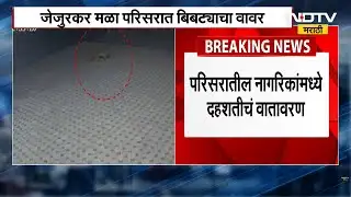 Nashik Leopard News | नाशिकमध्ये पुन्हा बिबट्याचं दर्शन, नागरिकांमध्ये दहशत । NDTV मराठी