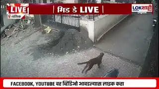 Nashik Leopard Terror | बिबट्याचे थरारक CCTV समोर ; 9 लोकांवर बिबट्याचा हल्ला