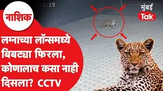 Nashik Leopard Video : लग्नाच्या लॉन्समध्ये बिबट्याचा वावर, सीसीटीव्हीमध्ये अख्खी घटना कैद