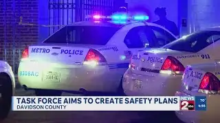 Nashville task force aims to create safety plans