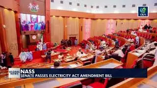NASS SENATE PASSES ELECTRICITY ACT AMENDMENT BILL