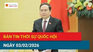 National Assembly News Bulletin, February 3, 2026