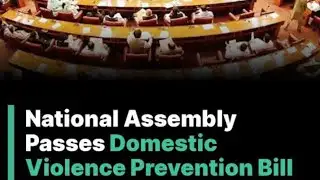 National Assembly Passes Domestic Violence Prevention Bill | Why Everyone Is Talking About It