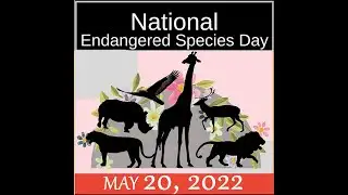 National Endangered Species Day | May 20 | 2022