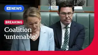 Nationals announce split from Coalition over hate speech laws | ABC NEWS