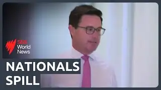 Nationals leader stays after failed spill motion