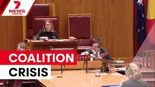 Nationals senators quit frontbench over hate speech vote | 7NEWS