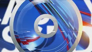 Naturalization ceremony at the Peoria Public Library