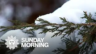 Nature: Snow in South Dakota