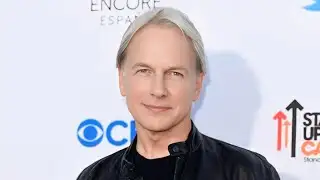 NCIS Origins Mark harmon Huge Sad 😭 Sad Sad News,