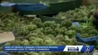 Nebraska Medical Cannabis Commission chair resigns
