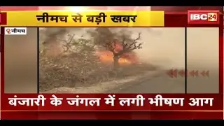 Neemuch Fire News : बंजारी के जंगल में लगी भीषण आग। Fire Brigade की गाड़ियां मौके पर पहुंची