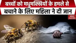 Neemuch Honeybee Attack: 20 बच्चों को मधुमक्खियों के हमले से बचाने में आंगनबाड़ी महिला ने दी जान