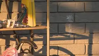 Neighborhood target of paintball attacks