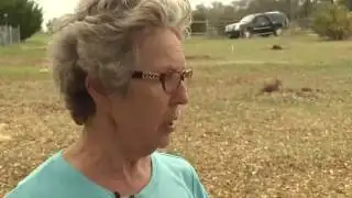 Neighbors take a stand against Oncor crews cutting down trees