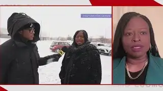 Nekima Levy Armstrong says Don Lemon didn