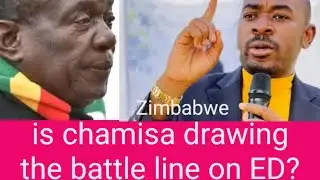 NELSON CHAMISA