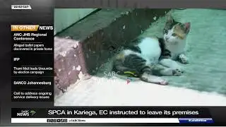 Nelson Mandela Bay instructs Kariega SPCA to leave its premises