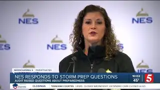 NES audit warned of tree trimming problems months before ice storm outages