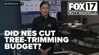 NES contradicts trimming tree trimming budget