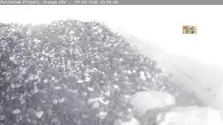 Nest camera - FalconCam Project LIVE