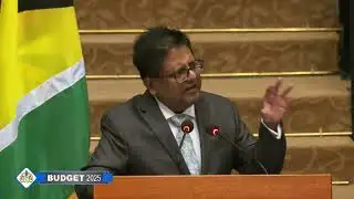 Net Carbon sink -  accelerated sustainable development