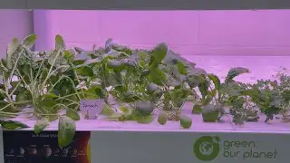 Nettleton STEAM receives grant to help students