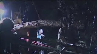 Nevada City Protesters Hanging Out In Trees So PG&E Won’t Cut Them Down