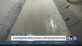 Nevada democratic lawmakers push for Boring Co., governor investigation