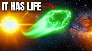 New 3I/ATLAS Data: Avi Loeb’s Unsettling Idea About The Mysterious Comet