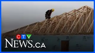 New ‘Build Canada Homes’ project ‘is no miracle’: MP Aitchison