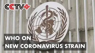 New Coronavirus Strain Not to Affect Most Diagnostic Tests: WHO