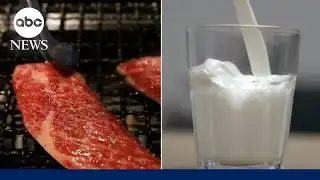 New dietary guidelines: More protein, less sugar