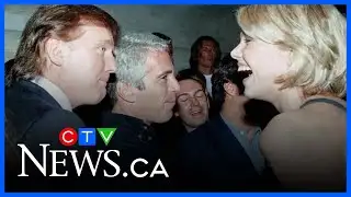 New Epstein documents allege Trump flew on private jet more often than reported