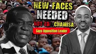 New faces needed not ED/ Chamisa - says opposition leader