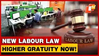 New Labour Laws Reshape Gratuity: Big Relief For Contract, Fixed-Term Employees | Details Explained