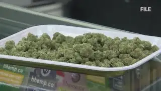 New Mexico cannabis regulators look to establish task force to curb illegal activity