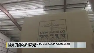 New Mexico leads in pecan production