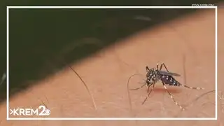 New mosquito found in Southern Idaho
