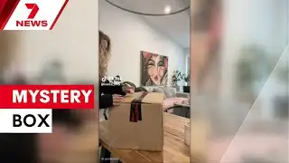 New mystery box shopping trend | 7NEWS