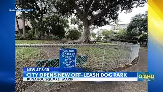 New off-leash dog park opens in Makiki