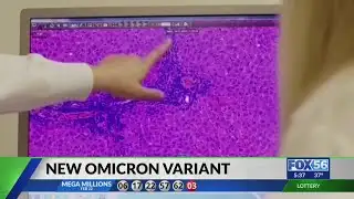 New omicron sub-variant causing concerns