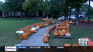 New Orleans Mom Fall Fest Guide