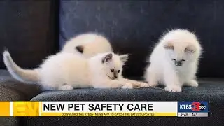 New pet safety care