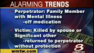 New Report On Domestic Violence Homicides