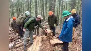 New research challenges the idea that Northwest wildfires are a modern problem