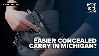 New Senate bills aim to make concealed carry easier in Michigan