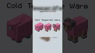 NEW SHEEP IN MINECRAFT!
